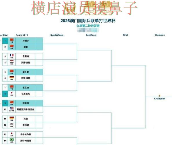 世界杯竞猜网站哪个好？围绕真实体验做一次全面实测对比（世界杯直播）