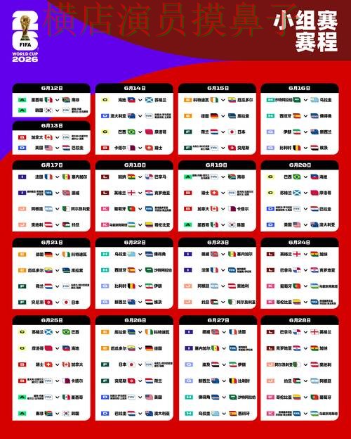 World Cup 2026期间热门世界杯竞猜平台揭秘与用户反馈分析